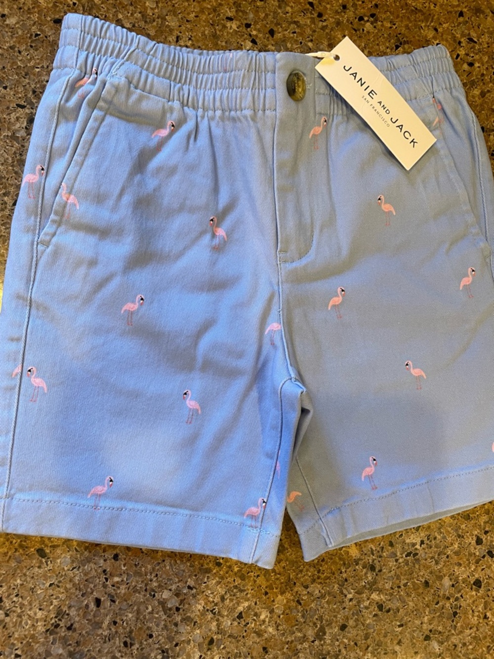Janie and Jack Light Blue Shorts with Pink Flamingo Embroidery